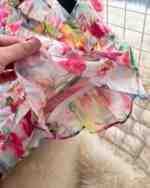 France Elegant Vintage Palace Evening Dress - Image 4